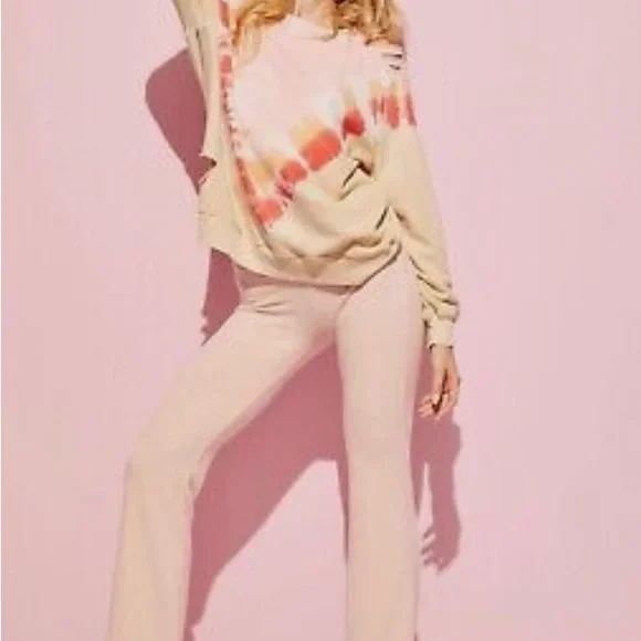 NWT WILDFOX GRAPEFRUIT SOMMERS INTENTIONALLY DISTRESSED SWEATSHIRT SZ SMALL - Picture 8 of 14